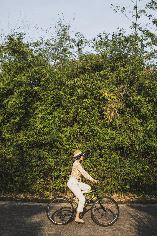 Dharana at Shillim 5*